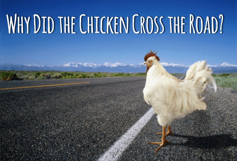 Best chicken road casino in Netherlands